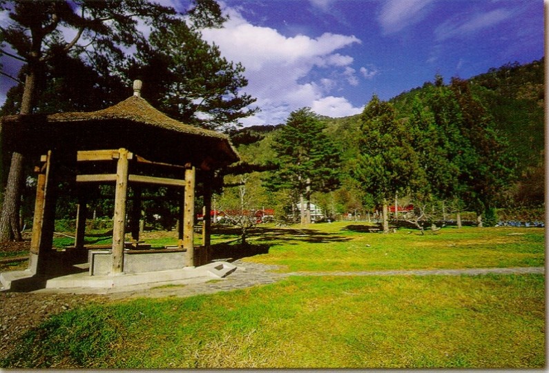 暑假避暑天堂~武陵農場二日遊