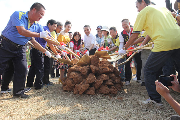 金山甘藷季體驗焢窯