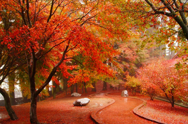 鴛鴦湖景觀步道