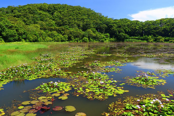 東源哭泣湖