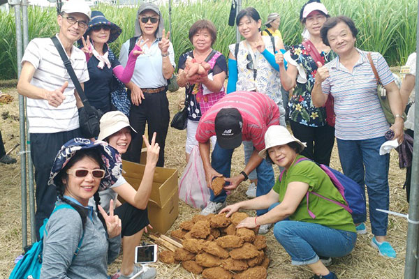 金山甘藷節一日遊